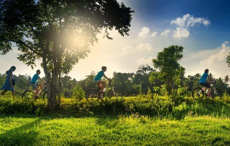 Galle: Countryside E-Bike Tour with Hotel Pickup - Why This Tour Stands Out