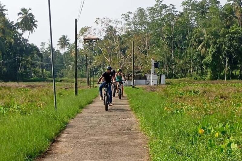 Galle: Countryside E-Bike Tour with Hotel Pickup - An In-Depth Look at the Galle Countryside E-Bike Tour