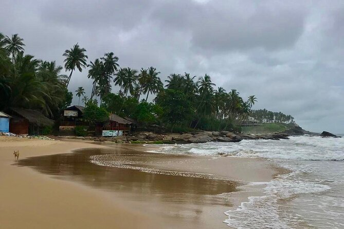 Galle Day Tour - Overview and Itinerary