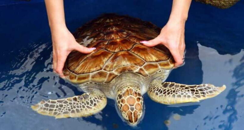 Galle Day Tour - FAQ