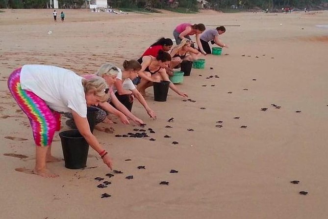 Galle Day Tour From Colombo - The Sum Up