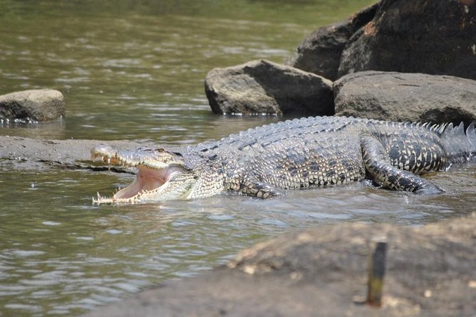 Galle Day Tour With Boat Safari & Stilt Fishermen, Sea Turtles From Bentota - The Sum Up