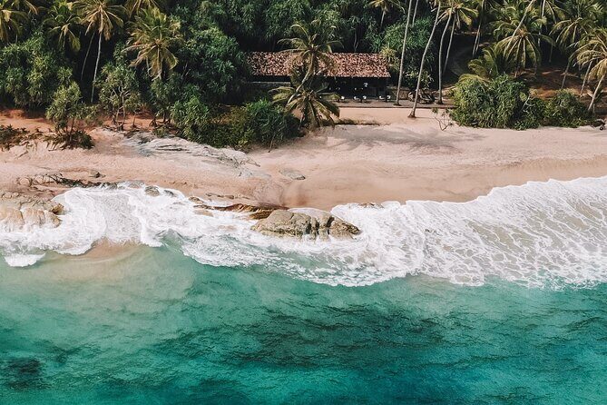 Galle Day Tour with Train Ride from Colombo or Negombo - Conservation and Natural Beauty: Turtle Hatchery and Madu River Safari