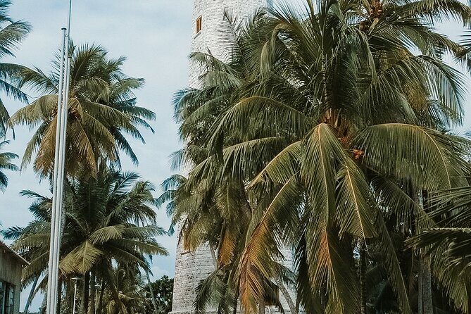 Galle Day Tour with Train Ride from Colombo or Negombo - Additional Attractions: Moonstone Mines and Gem Palace