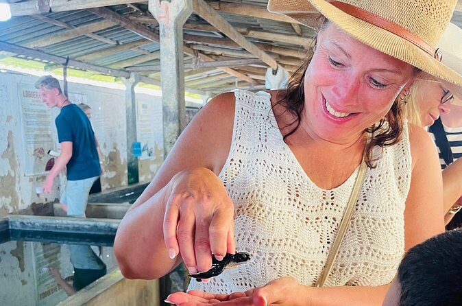 Galle Day Tour with Turtle Hatchery & River Boat Safari - Practical Considerations