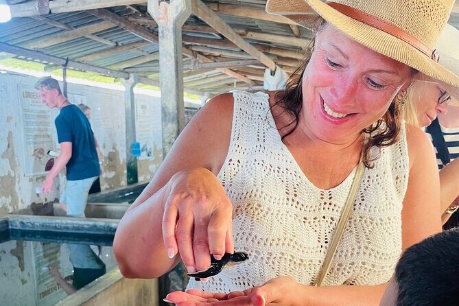 Galle Day Tour with Turtle Hatchery & River Boat Safari - A Closer Look at the Galle Day Tour