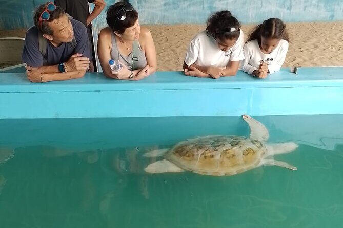 Galle Day Trip from Kalutara - Temples, River Safari & Dutch Fort - Scenic Madu River Boat Safari