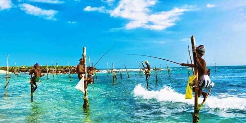 Galle Day Trip - River Safari, Sea Turtle & Stilt Fishermen - Good To Know