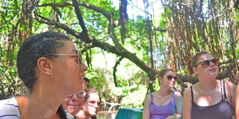 Galle Day Trip with River Safari, Sea Turtles & Tea Factory - Good To Know