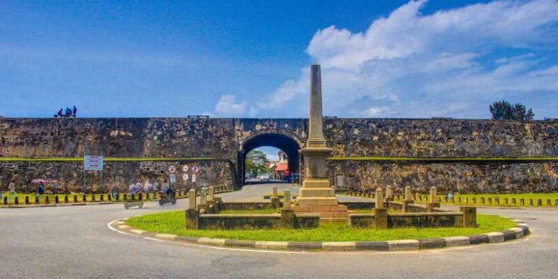 Galle Day Trip with River Safari, Sea Turtles & Tea Factory - The Art of Tea: Plantation & Factory Tour