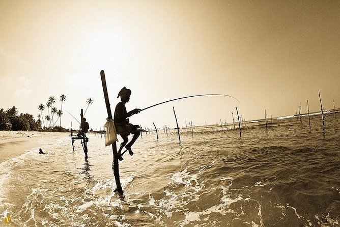 Galle Day Trip With Stilt Fishing Experience From Colombo - Frequently Asked Questions