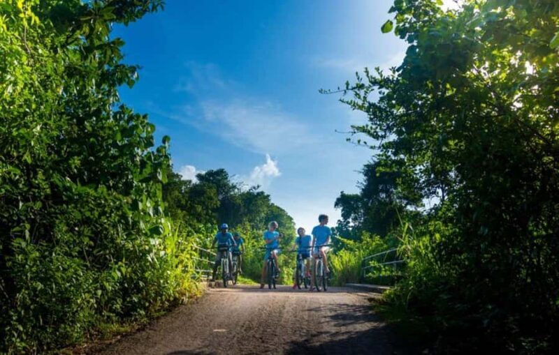 Galle: E-Bike Tour with Village Lunch and Local Guide - Who Should Consider This Tour?