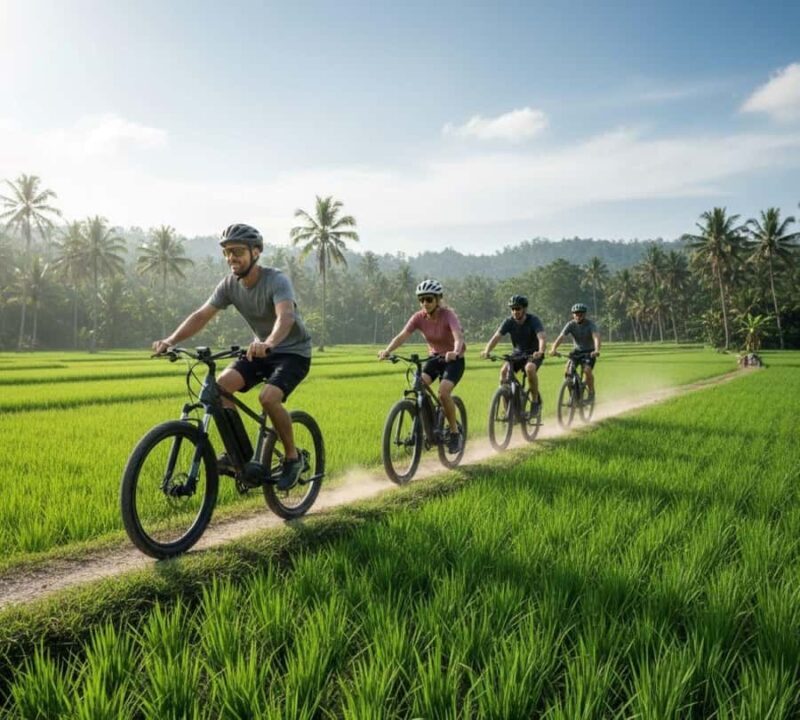 Galle: E-Bike Tour with Village Lunch and Local Guide - An In-Depth Look at the Galle E-Bike Tour