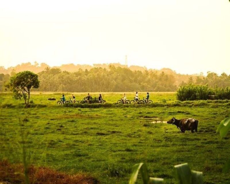 Galle: E-Bike Tour with Village Lunch and Local Guide - FAQs