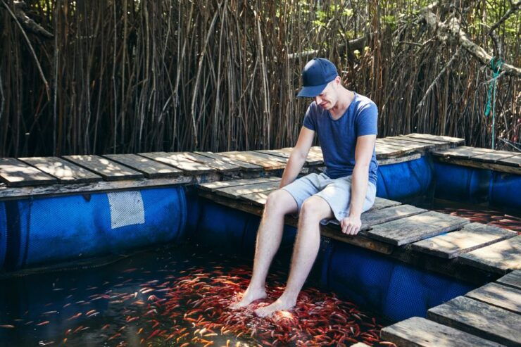 Galle Fort and Bentota Day-Tour From Kalutara - Reserve Now & Pay Later Options