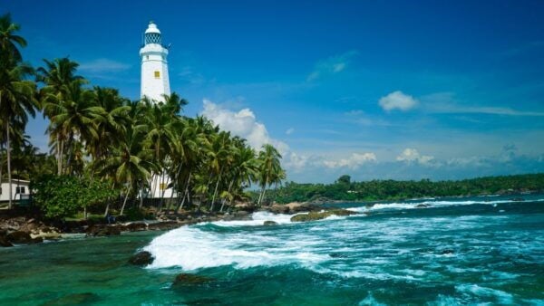 Galle Fort and Fish Massage From Colombo - Common Questions