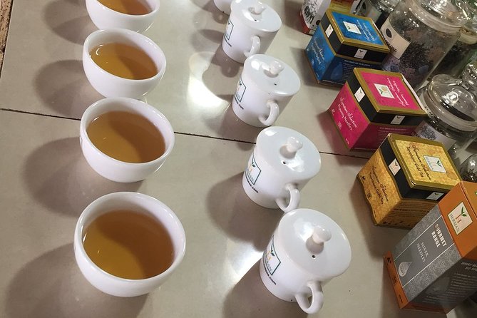 Galle Fort And Tea Factory Visit - Tea-Making Process at the Factory