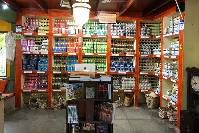 Galle Fort And Tea Factory Visit - Cultural Insights at the Tea Factory
