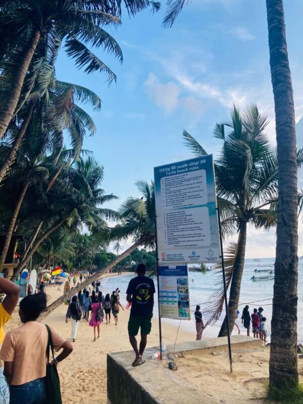 Galle Fort, Mask Museum, and Turtle Hatchery Day Trip - Scenic Drive and Hikkaduwa Beach  