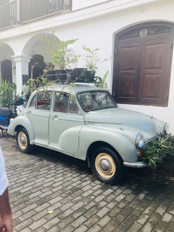 Galle Fort, Mask Museum, and Turtle Hatchery Day Trip - Practical Information and Tips  