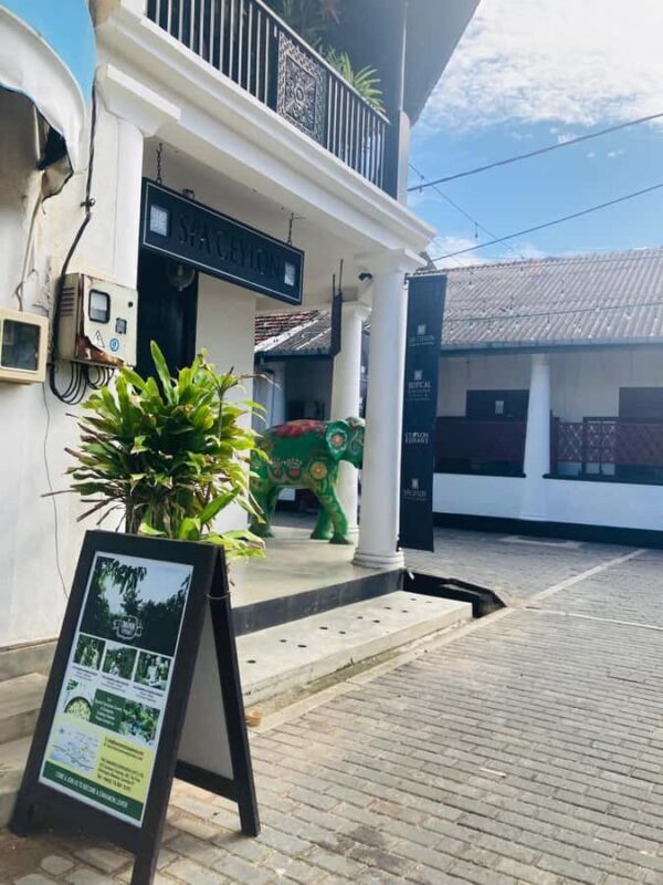 Galle Fort, Mask Museum, and Turtle Hatchery Day Trip - Who is this tour best suited for?  