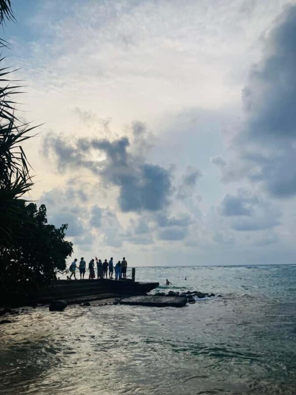 Galle Fort, Mask Museum, and Turtle Hatchery Day Trip - Frequently Asked Questions  