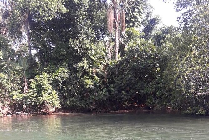 Galle Fort, Moonstone - Private Day Tour From Negombo or Colombo - Questions and Help