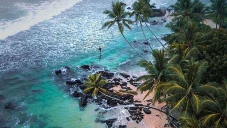 Galle/Hikkaduwa/Bentota: Down South Day Trip - Itinerary Highlights