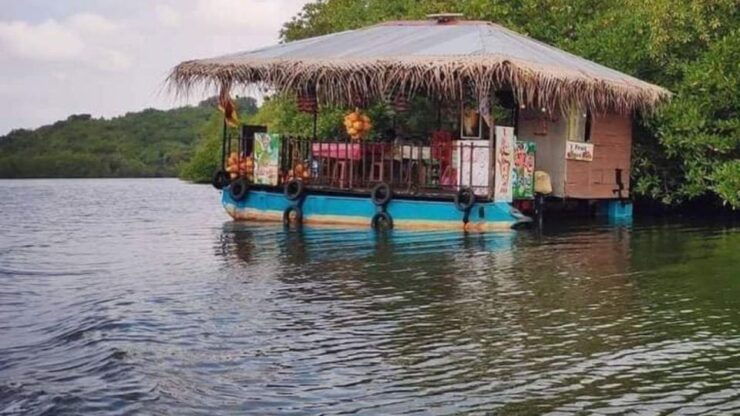 Galle/Hikkaduwa/Bentota: Down South Day Trip - Booking Details