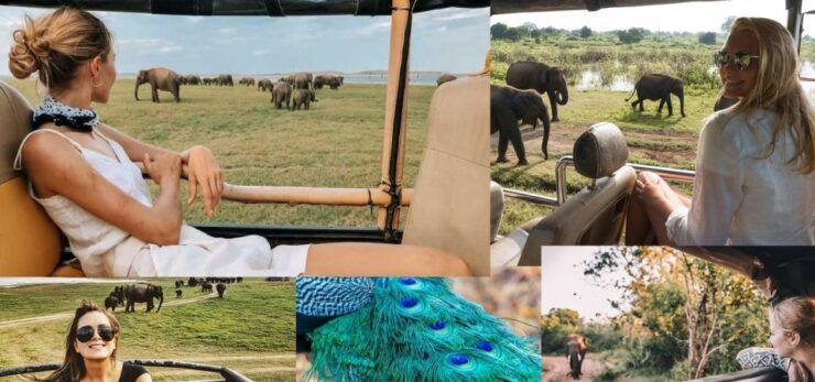 Galle (Hikkaduwa) To Udawalawe National Park Safari Tour - Safari Experience