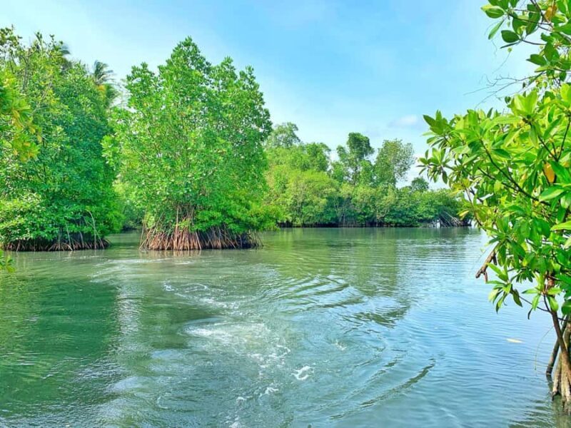 Galle: Koggala Lake Boat Safari with Monkeys Birds & Nature - What Reviewers Really Loved