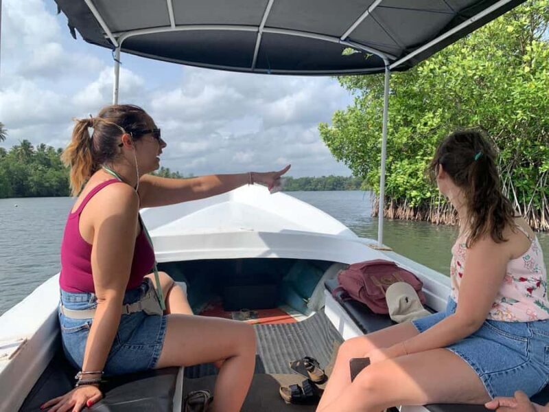 Galle: Koggala Lake Boat Safari with Monkeys Birds & Nature - An Authentic Nature and Culture Escape in Sri Lanka