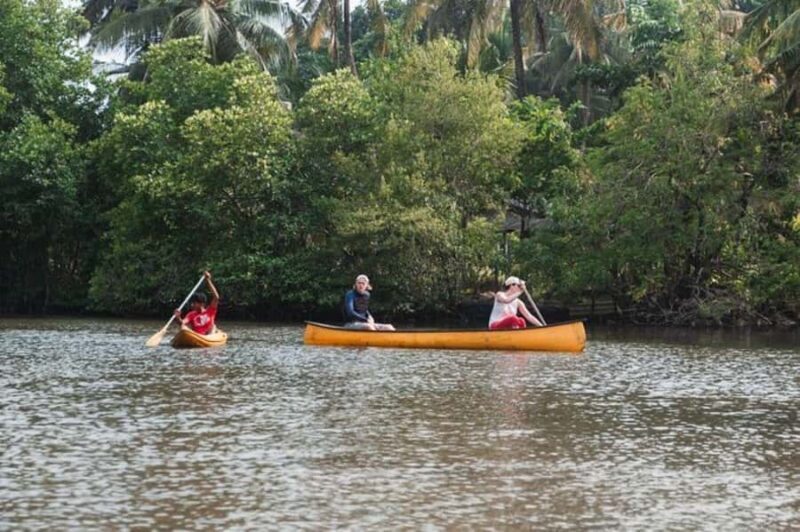 Galle: Lagoon Canoeing Tour with Hotel Pickup - Good To Know