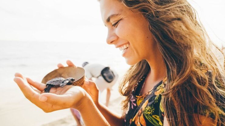 Galle/Mirissa: Bentota and Hikkaduwa Coastal Day Tour - Free Cancellation and Flexible Reservations