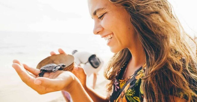 Galle/Mirissa: Bentota and Hikkaduwa Coastal Day Tour - Highlights of the Activity
