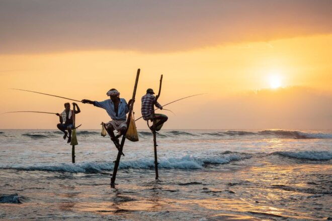 Galle/Mirissa: Bentota and Hikkaduwa Coastal Day Tour - Exploring Madu Ganga on a Boat Safari