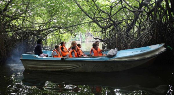 Galle/Mirissa: Bentota and Hikkaduwa Coastal Day Tour - Turtle Hatchery and Conservation Efforts