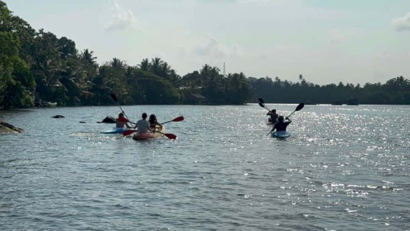 Galle/Mirissa: Koggala Lake Boat Safari and Kayaking Tour - Practical Details and Why They Matter
