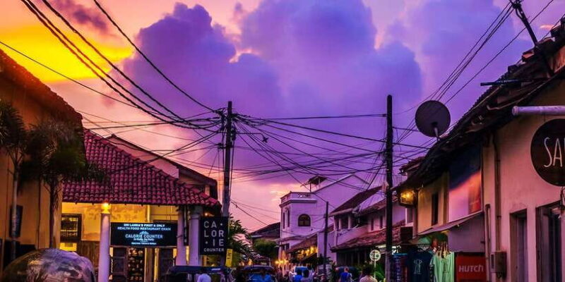 Galle: Morning or Evening Private Beach Safari by TukTuk - Who Will Love This Tour?