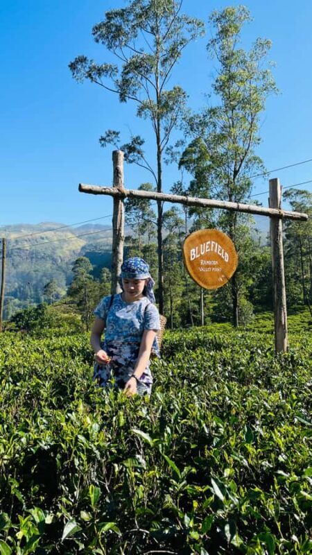 Galle: Nuwara Eliya Private Tour with Tea Factory Visit - Good To Know