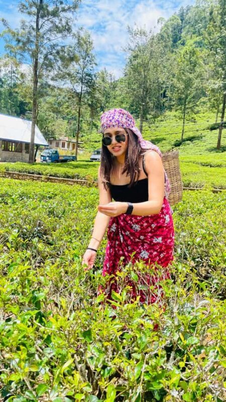 Galle: Nuwara Eliya Private Tour with Tea Factory Visit - Scenic Viewpoints and Photo Opportunities