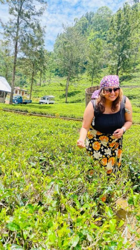 Galle: Nuwara Eliya Private Tour with Tea Factory Visit - Who Would Love This Tour?