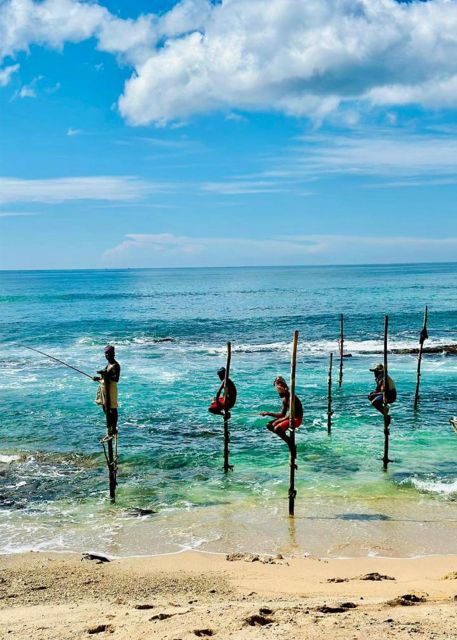 Galle One Day Tour - Guides and Transportation Details