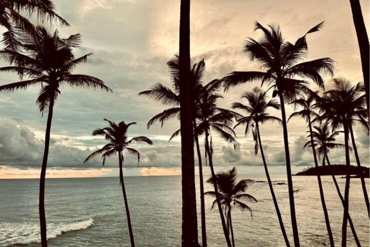 Galle One Day Tour - Booking and Logistics Information