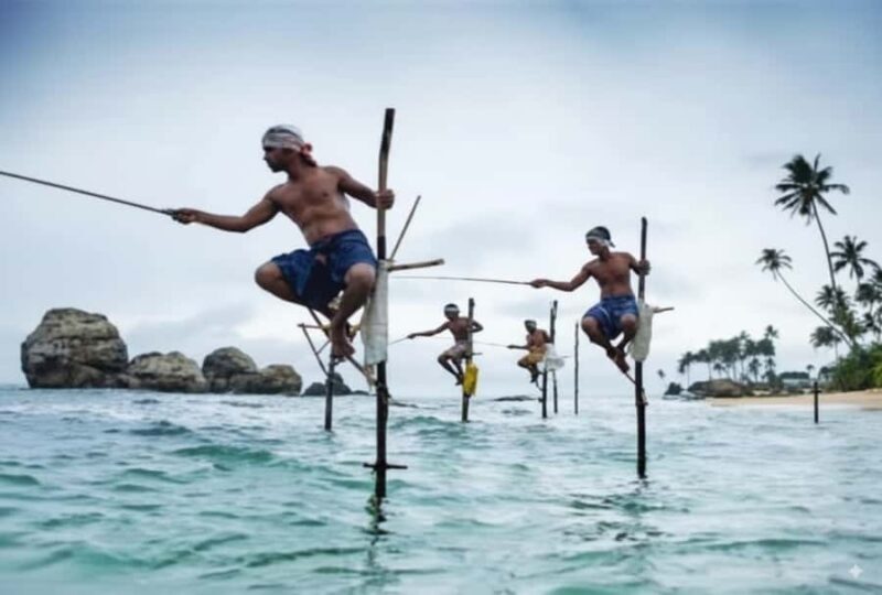 Galle: Private City Sightseeing Guided Tour by Tuk Tuk - An Authentic and Scenic Way to Explore Galle