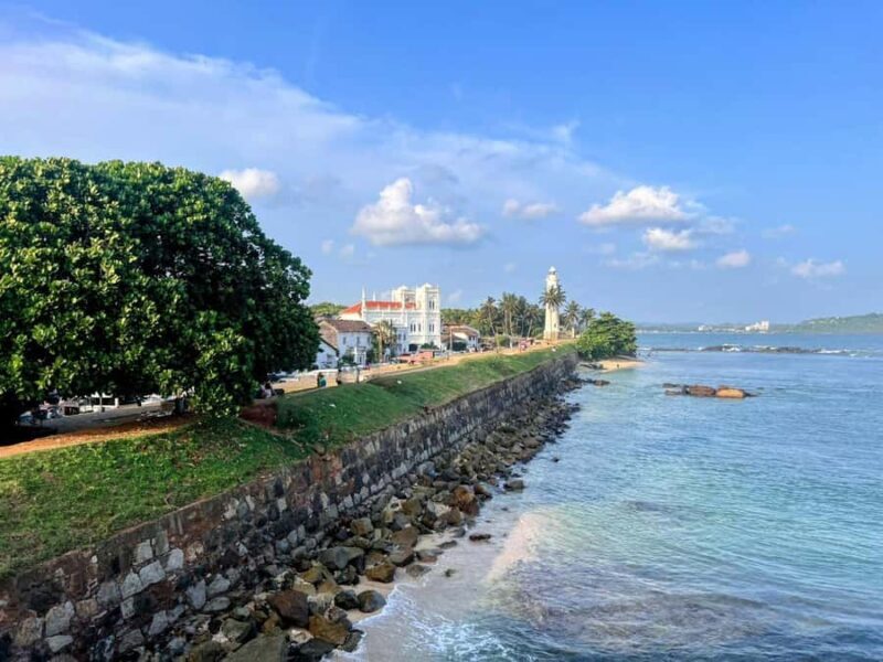Galle Private Day Tour - River Safari, Turtle Hatchery - Good To Know