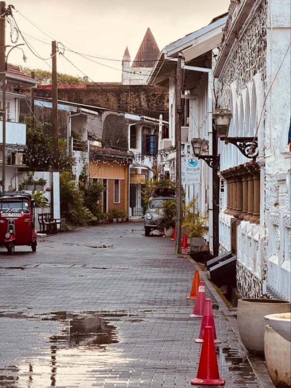 Galle Private Day Tour - River Safari, Turtle Hatchery - Why This Tour Offers Real Value