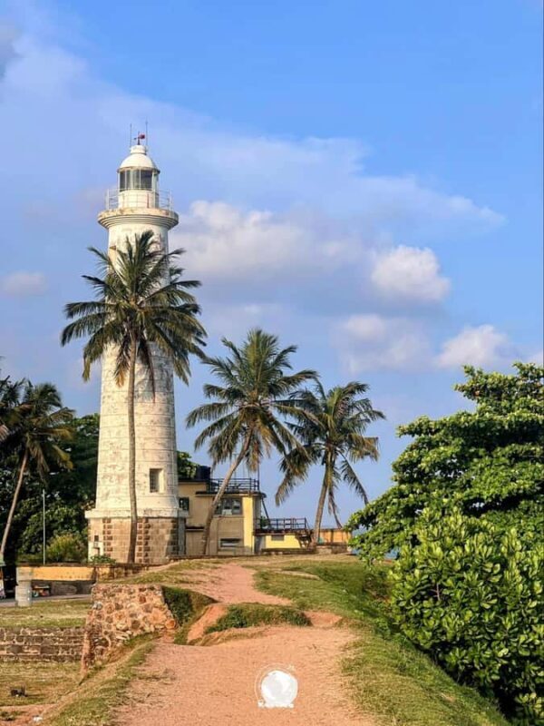 Galle Private Day Tour - River Safari, Turtle Hatchery - Good To Know