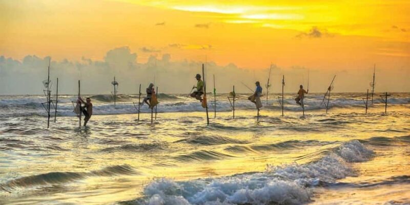 Galle Private Day Tour - River Safari, Turtle Hatchery - A Closer Look at the Logistics