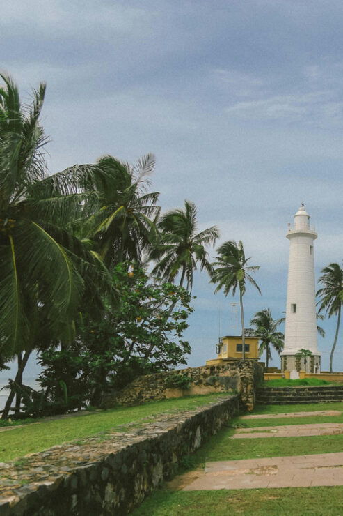 Galle Private Day Tours With Sea Turtle Visit & Boat Safari - Good To Know
